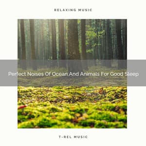 Perfect Noises Of Ocean And Animals For Good Sleep - Sleep Dimension