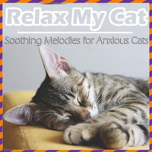 Relax My Cat - Soft Instrumentals for Anxious Cats - RelaxMyCat