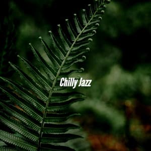 Chilly Jazz - Musica para Hoteles Ambiente