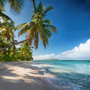 Sonidos Suaves Para Relajarse Y Calmarse - Resplandor Lofi