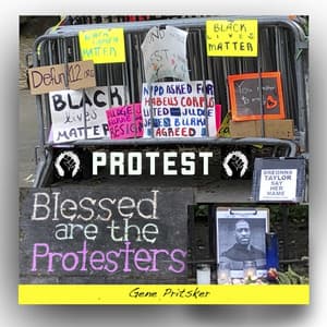 Protest - Gene Pritsker