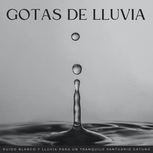 Gotas De Lluvia: Ruido Blanco Y Lluvia Para Un Tranquilo Santuario Gatuno - Jardín de sonido de ruido blanco