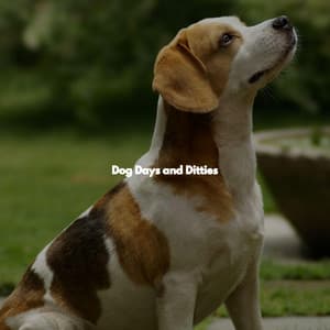 Dog Days and Ditties - Música de la Oficina