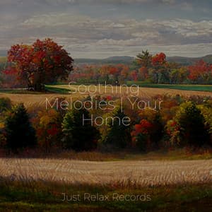 Soothing Melodies | Your Home - Meditación Guiada
