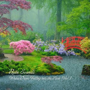 Rain Sounds: Water Drops Falling into the Park Vol. 1 - The Rain Factory