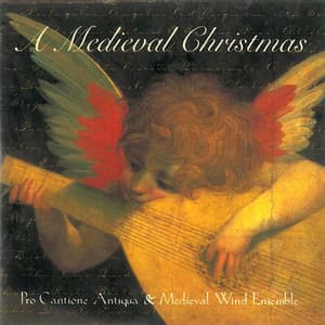 A Medieval Christmas - Anonymous