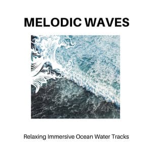 Melodic Waves - Relaxing Immersive Ocean Water Tracks - Calm Music