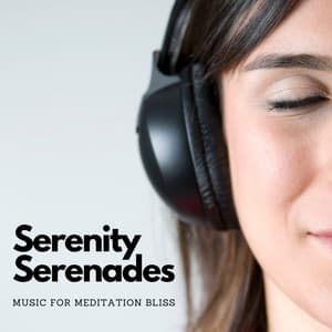 Serenity Serenades: Music For Meditation Bliss - Alpha Waves
