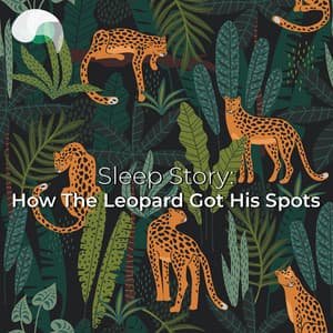Sleep Story: How The Leopard Got His Spots - RelaxMyBrain