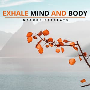 Exhale Mind and Body - Nature Retreats - Zen Healing Melodies