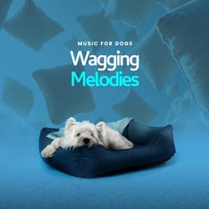 Wagging Melodies - Music For Dogs