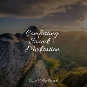 Comforting Sounds | Meditation - Academia de Relaxamento e Meditação