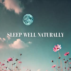 Sleep Well Naturally: Insomnia Antidote, Breathe and Be Calm - Sleepy Music Zone