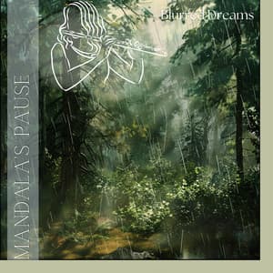 Mandala's Pause - Blurred Dreams