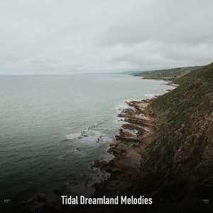 !!!!" Tidal Dreamland Melodies "!!!! - Ocean Waves