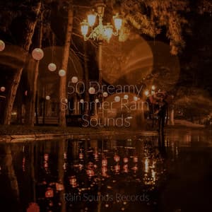 50 Dreamy Summer Rain Sounds - Relaxing Rain Sounds