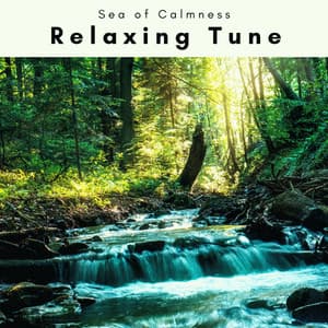 A Relaxing Tune - Sea of Calmness