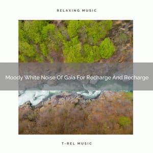 Moody White Noise Of Gaia For Recharge And Recharge - Relaxing Water Sounds