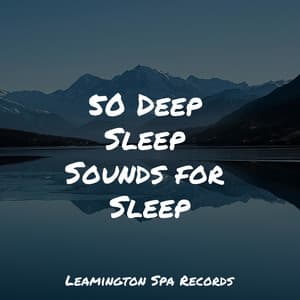 50 Deep Sleep Sounds for Sleep - Zarobi