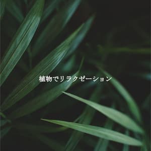 植物でリラクゼーション - Soft Jazz Style
