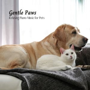 Gentle Paws: Relaxing Piano Music for Pets - The Friendly Piano