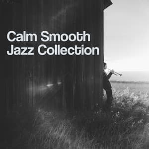 Calm Smooth Jazz Collection – Relaxing Background Jazz Hits, Piano Instrumental Sounds, Smooth Jazz - Smooth Jazz Park