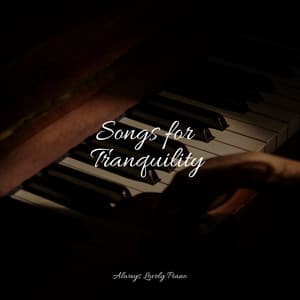 Sounds of Pure Calm - Piano Prayer