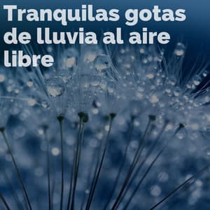 Tranquilas gotas de lluvia al aire libre - Lluvia Instantánea