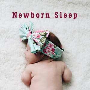 Newborn Sleep: Sweet Music for Baby, Bedtime Baby, Calming Sounds at Night, Relaxing Lullabies for Babies, Cradle Songs 2019, Lounge - Lullaby Land