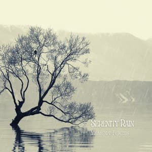 Serenity Rain: Memory Focus - Focus and Work