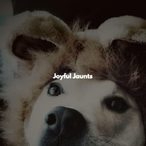 Joyful Jaunts - Cocktail Piano Bar Jazz