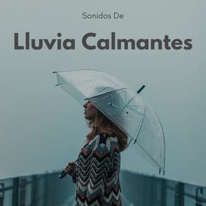Sonidos De Lluvia Calmantes - La biblioteca de la lluvia