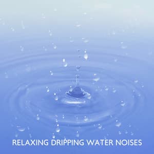 Relaxing Dripping Water Noises - Calming Waters Consort