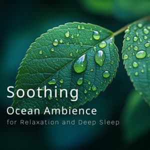 Soothing Ocean Ambience for Relaxation and Deep Sleep - Ocean Waves for Deep Sleep