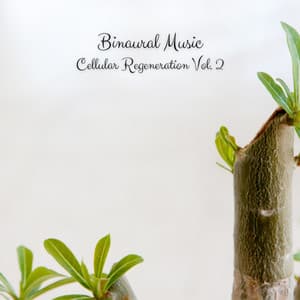 Binaural Music: Cellular Regeneration Vol. 2 - Rain Sounds For Sleep