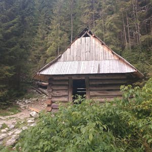 Night Conversation - Jazzy Coffee