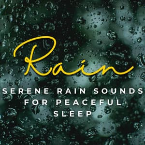 Dreamy Rainfall: Serene Rain Sounds for Peaceful Sleep - Sleep Sounds Rainfall
