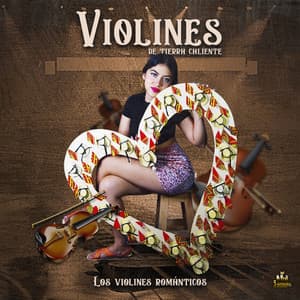 Los Violines Romanticos - Violines De Tierra Caliente