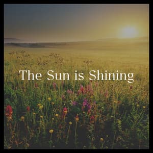 The Sun Is Shining - Binaural Beats Sleep Tones