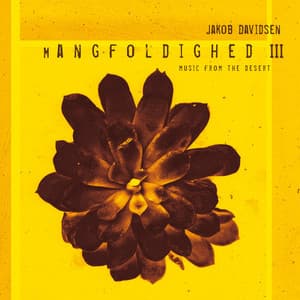 Mangfoldighed III - Jakob Davidsen