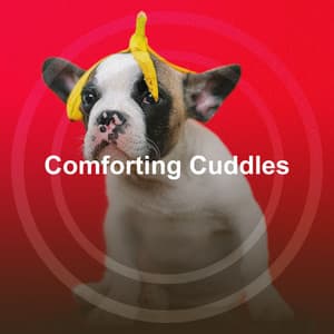 Comforting Cuddles - Relaxing Pet Music