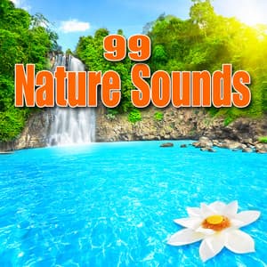 99 Nature Sounds - Best Nature Sounds