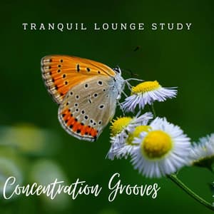 Jazz Oasis: Concentration Grooves - Old Classic Jazz