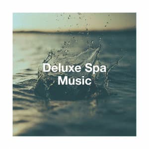 Deluxe spa music - Relaxation And Meditation