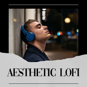 Aesthetic Lofi - HIP-HOP LOFI