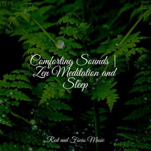 Comforting Sounds | Zen Meditation and Sleep - Relaxamento