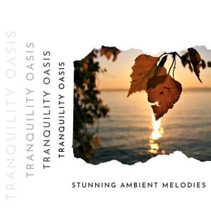 Stunning Ambient Melodies Blended with Calming Sounds of Nature - Tranquility Oasis