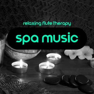 Relaxing Flute Therapy: Spa Music for Massages, Wellness and Regeneration of the Body - Flute Music Ensemble