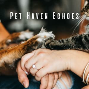 Pet Haven Echoes: Chill Music Intertwined - Happy Sunday Morning Music