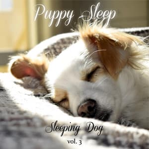 Sleepin Dog Volume 3 - Puppy Sleep